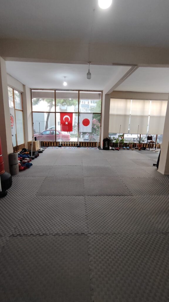 bayraklı dik 1