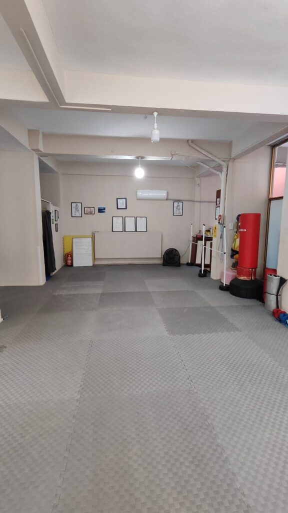 bayraklı dik 2